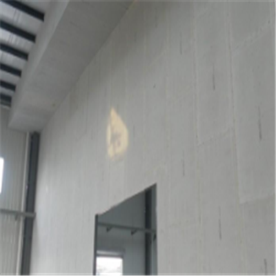 贺州宁波ALC板|EPS加气板隔墙与混凝土整浇联接的实验研讨